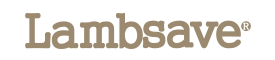 램세이브
